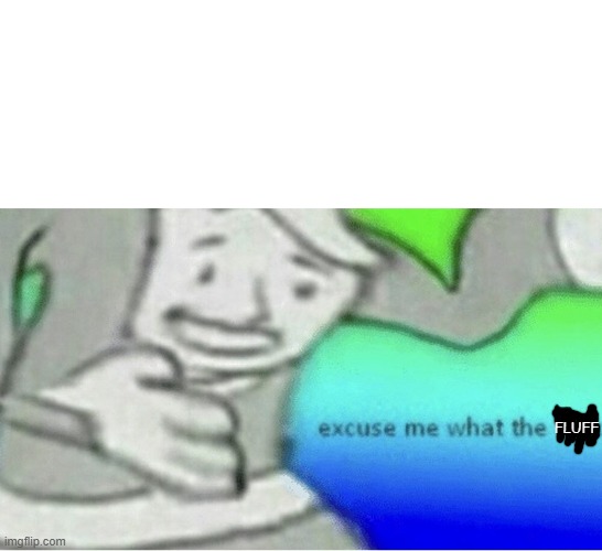 Excuse me wtf blank template | FLUFF | image tagged in excuse me wtf blank template | made w/ Imgflip meme maker