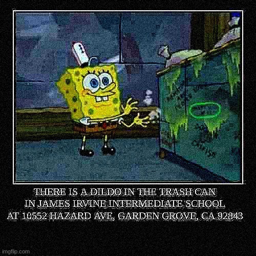 THERE IS A DILDO IN THE TRASH CAN IN JAMES IRVINE INTERMEDIATE SCHOOL AT 10552 HAZARD AVE, GARDEN GROVE, CA 92843 | made w/ Imgflip meme maker