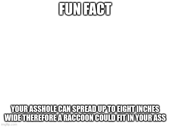 Blank White Template | FUN FACT; YOUR ASSHOLE CAN SPREAD UP TO EIGHT INCHES WIDE THEREFORE A RACCOON COULD FIT IN YOUR ASS | image tagged in blank white template | made w/ Imgflip meme maker