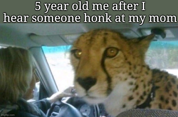 5 year old me after I hear someone honk at my mom | image tagged in msmg,memes,funny | made w/ Imgflip meme maker