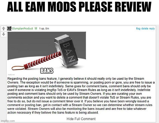 Mods please Review | ALL EAM MODS PLEASE REVIEW | image tagged in mods,review,bans | made w/ Imgflip meme maker