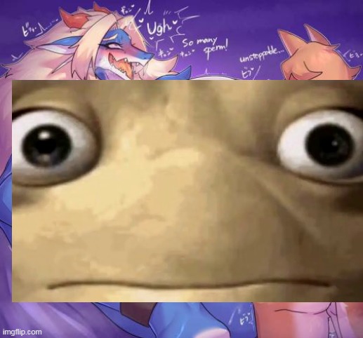Doesn't seem to have any horny around he- | image tagged in memes | made w/ Imgflip meme maker