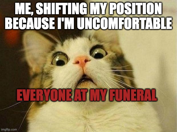 Lol very cat | ME, SHIFTING MY POSITION BECAUSE I'M UNCOMFORTABLE; EVERYONE AT MY FUNERAL | image tagged in memes,scared cat | made w/ Imgflip meme maker