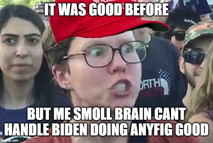 Triggered Liberal | IT WAS GOOD BEFORE BUT ME SMOLL BRAIN CANT HANDLE BIDEN DOING ANYFIG GOOD | image tagged in triggered liberal | made w/ Imgflip meme maker