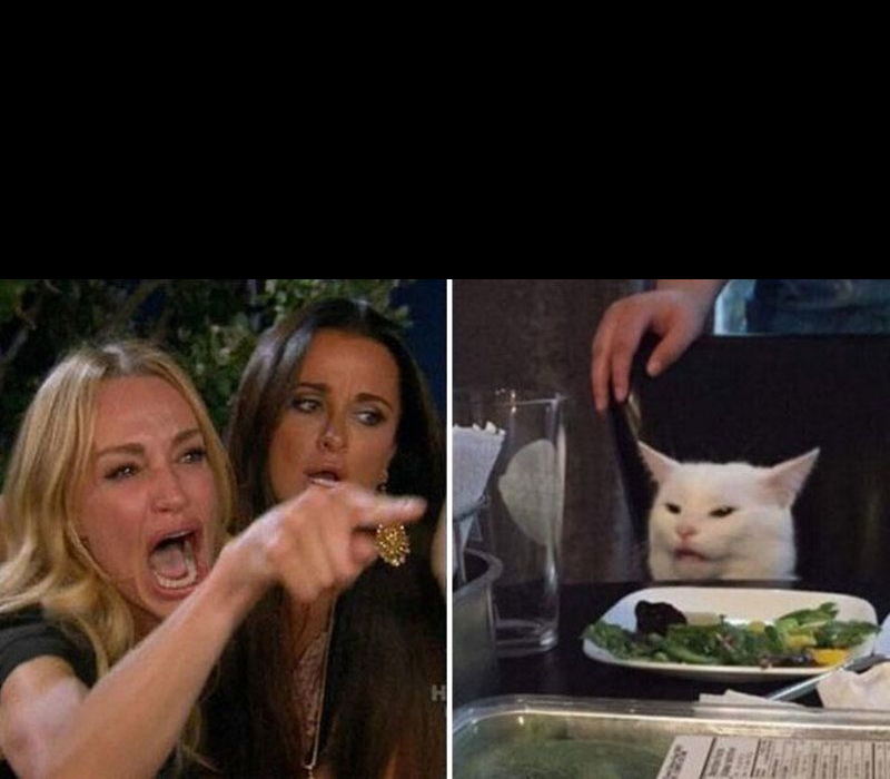 High Quality Blonde yells at Cat Blank Meme Template
