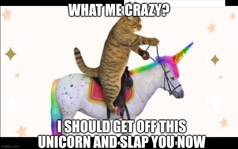Catacorn | WHAT ME CRAZY? I SHOULD GET OFF THIS UNICORN AND SLAP YOU NOW | image tagged in catacorn | made w/ Imgflip meme maker