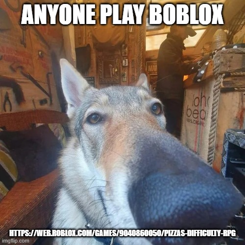 Got Damn Dog | ANYONE PLAY BOBLOX; HTTPS://WEB.ROBLOX.COM/GAMES/9040860050/PIZZAS-DIFFICULTY-RPG | image tagged in got damn dog | made w/ Imgflip meme maker