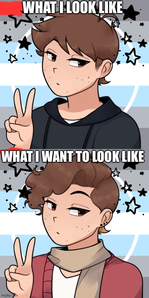 What I want to look like! (Im a demiboy) | WHAT I LOOK LIKE; WHAT I WANT TO LOOK LIKE | image tagged in demiboy,what i want to look like,lgbtqia | made w/ Imgflip meme maker