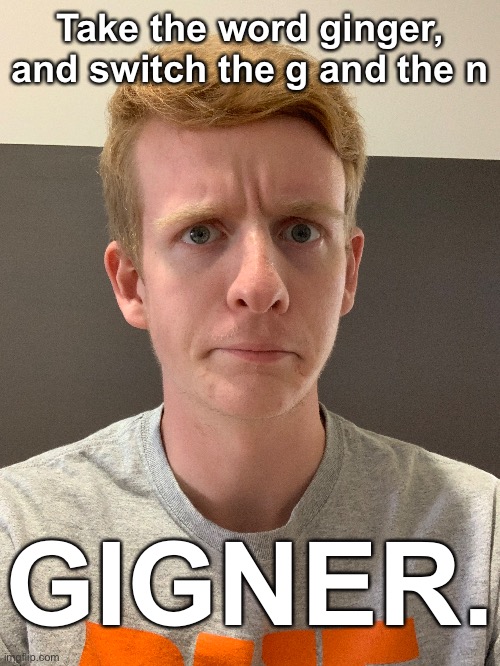Take the word ginger, and switch the g and the n; GIGNER. | made w/ Imgflip meme maker