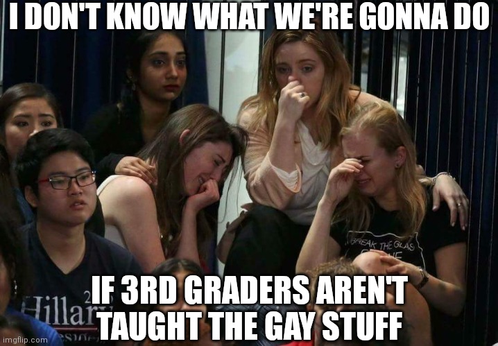 Their poor souls can't handle it | I DON'T KNOW WHAT WE'RE GONNA DO; IF 3RD GRADERS AREN'T TAUGHT THE GAY STUFF | image tagged in liberal tears,florida,biden,democrats,gay | made w/ Imgflip meme maker