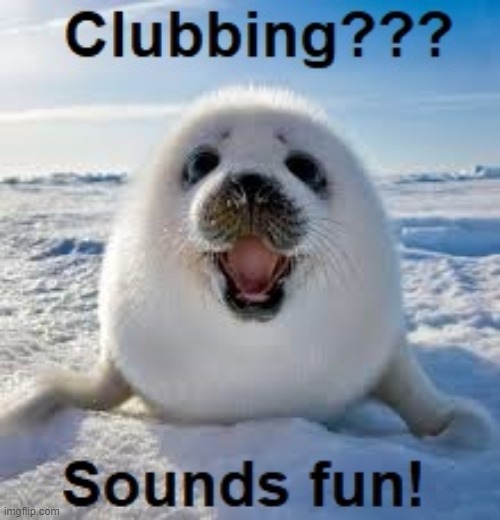 Oh no. Oh no. Oh nononononono. | image tagged in remember clubbing before teh covids | made w/ Imgflip meme maker