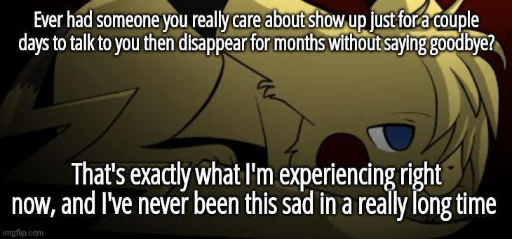 *sigh* | Ever had someone you really care about show up just for a couple days to talk to you then disappear for months without saying goodbye? That's exactly what I'm experiencing right now, and I've never been this sad in a really long time | image tagged in brvr,depression,vent | made w/ Imgflip meme maker