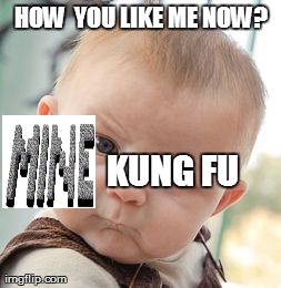 Skeptical Baby Meme | HOW 
YOU LIKE ME NOW? KUNG FU  | image tagged in memes,skeptical baby | made w/ Imgflip meme maker