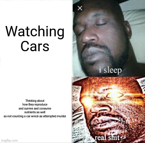Sleeping Shaq Meme | Watching Cars; Thinking about how they reproduce and survive and consume nutrients as well as not counting a car wreck as attempted murder | image tagged in memes,sleeping shaq | made w/ Imgflip meme maker