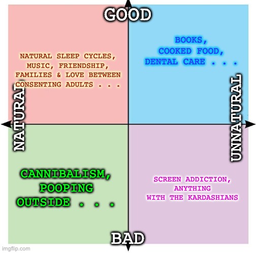 Blank Political Compass | GOOD BAD NATURAL UNNATURAL CANNIBALISM, POOPING OUTSIDE . . . NATURAL SLEEP CYCLES, MUSIC, FRIENDSHIP, FAMILIES & LOVE BETWEEN CONSENTING AD | image tagged in blank political compass | made w/ Imgflip meme maker