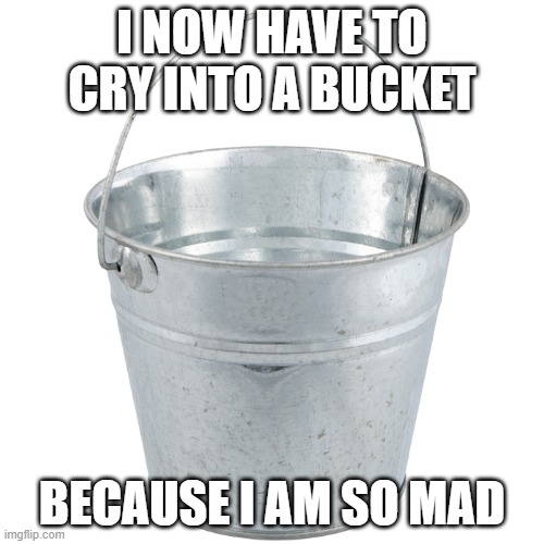 Bucket | I NOW HAVE TO CRY INTO A BUCKET; BECAUSE I AM SO MAD | image tagged in bucket,memes,not funny | made w/ Imgflip meme maker