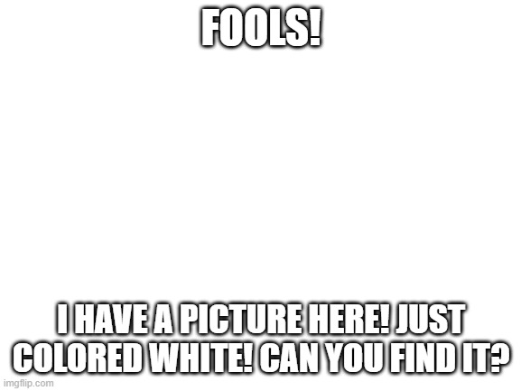 Fool | FOOLS! I HAVE A PICTURE HERE! JUST COLORED WHITE! CAN YOU FIND IT? | image tagged in blank white template | made w/ Imgflip meme maker