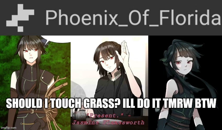 Phoenix's Jasmine Templet | SHOULD I TOUCH GRASS? ILL DO IT TMRW BTW | image tagged in phoenix's jasmine templet | made w/ Imgflip meme maker