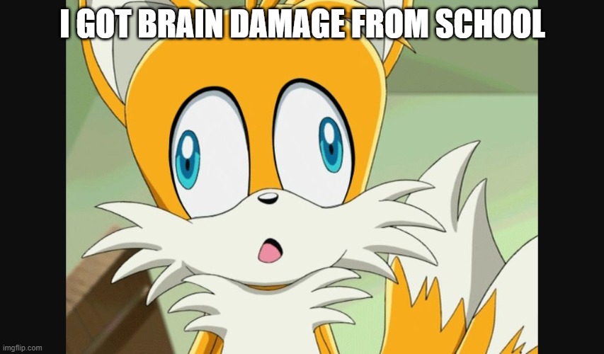 brain damage | I GOT BRAIN DAMAGE FROM SCHOOL | image tagged in sonic- derp tails | made w/ Imgflip meme maker