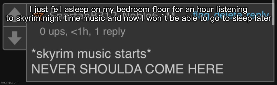 It’s so good | I just fell asleep on my bedroom floor for an hour listening to skyrim night time music and now I won’t be able to go to sleep later | image tagged in never shoulda come here | made w/ Imgflip meme maker