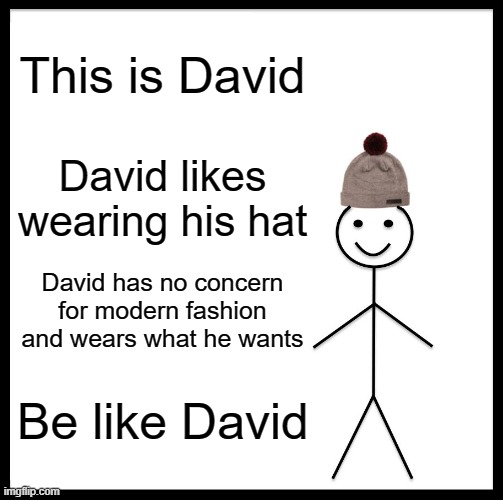 Be Like Bill | This is David; David likes wearing his hat; David has no concern for modern fashion and wears what he wants; Be like David | image tagged in memes,be like bill | made w/ Imgflip meme maker