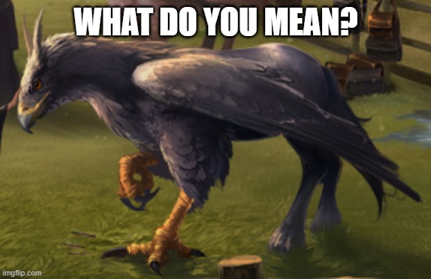 Hippogriff | WHAT DO YOU MEAN? | image tagged in hippogriff | made w/ Imgflip meme maker