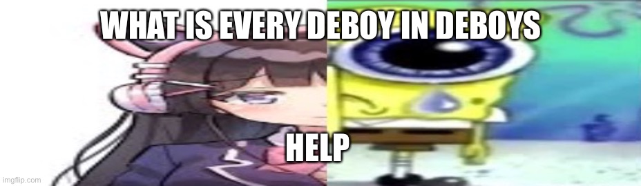 lol | WHAT IS EVERY DEBOY IN DEBOYS; HELP | image tagged in lol | made w/ Imgflip meme maker