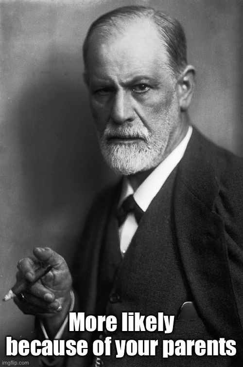 Sigmund Freud Meme | More likely because of your parents | image tagged in memes,sigmund freud | made w/ Imgflip meme maker