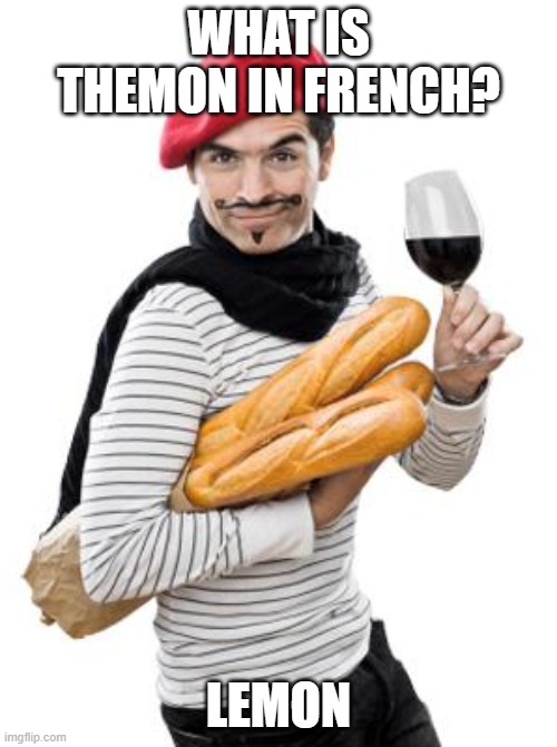 scumbag french | WHAT IS THEMON IN FRENCH? LEMON | image tagged in scumbag french | made w/ Imgflip meme maker