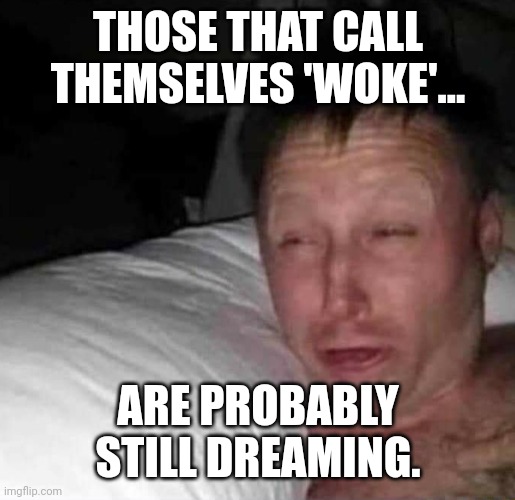 Woke? What a nightmare. | THOSE THAT CALL THEMSELVES 'WOKE'... ARE PROBABLY STILL DREAMING. | image tagged in sleepy guy | made w/ Imgflip meme maker
