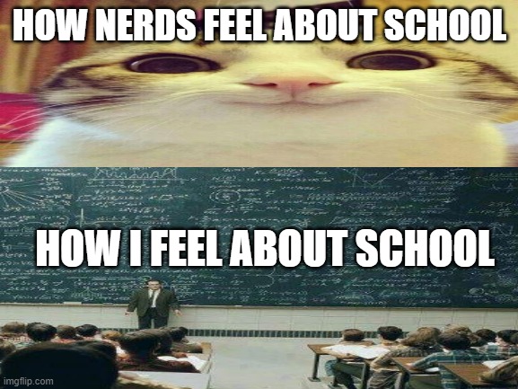 How I feel about school | HOW NERDS FEEL ABOUT SCHOOL; HOW I FEEL ABOUT SCHOOL | image tagged in school,school meme | made w/ Imgflip meme maker