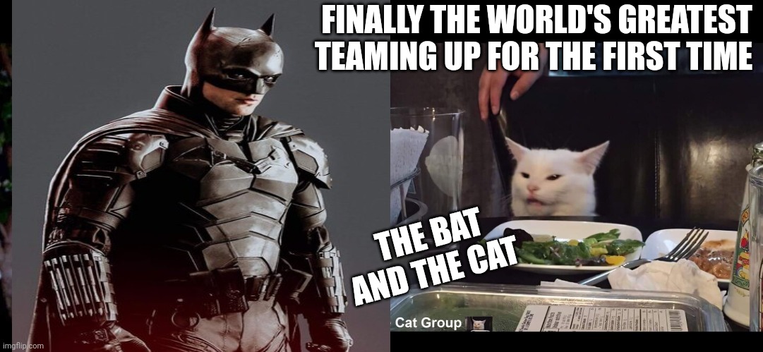 THE BAT AND THE CAT; FINALLY THE WORLD'S GREATEST TEAMING UP FOR THE FIRST TIME | image tagged in smudge the cat,smudge | made w/ Imgflip meme maker