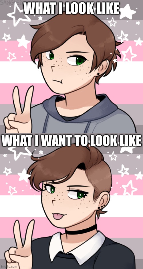 *cries in gay* | WHAT I LOOK LIKE; WHAT I WANT TO LOOK LIKE | image tagged in blank white template | made w/ Imgflip meme maker