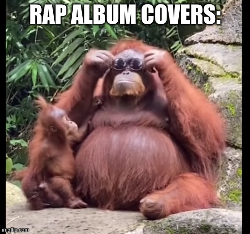 Cool Monke | RAP ALBUM COVERS: | image tagged in cool monke | made w/ Imgflip meme maker