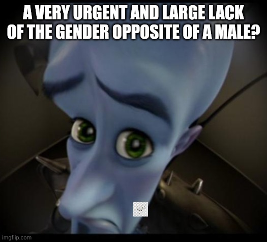 Trying to do this on phone, so it's a bit hard | A VERY URGENT AND LARGE LACK OF THE GENDER OPPOSITE OF A MALE? | image tagged in no bitches | made w/ Imgflip meme maker