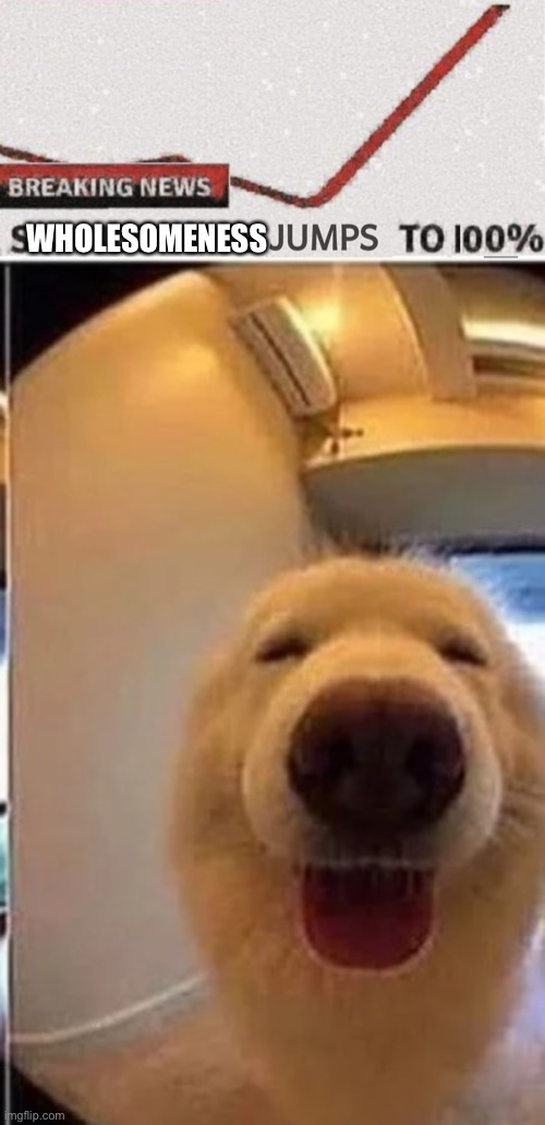 WHOLESOMENESS | image tagged in suicide rate 100,wholesome doggo | made w/ Imgflip meme maker