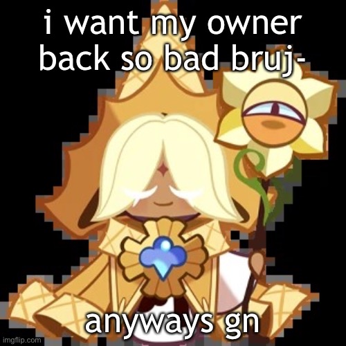 damn 5 owner rule | i want my owner back so bad bruj-; anyways gn | image tagged in purevanilla | made w/ Imgflip meme maker