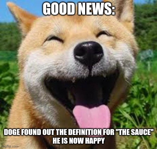 Happy Doge | GOOD NEWS:; DOGE FOUND OUT THE DEFINITION FOR "THE SAUCE"
HE IS NOW HAPPY | image tagged in happy doge,dafuq | made w/ Imgflip meme maker