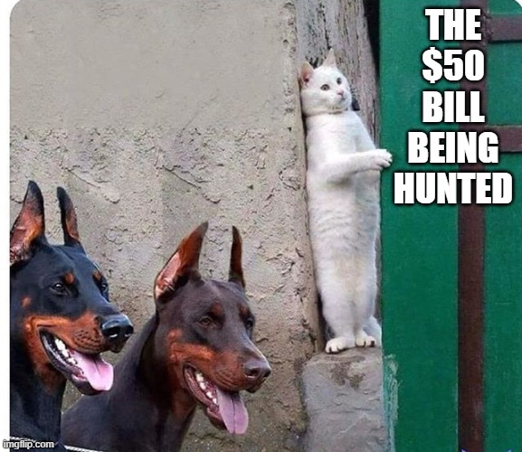 Hidden cat | THE $50 BILL BEING HUNTED | image tagged in hidden cat | made w/ Imgflip meme maker