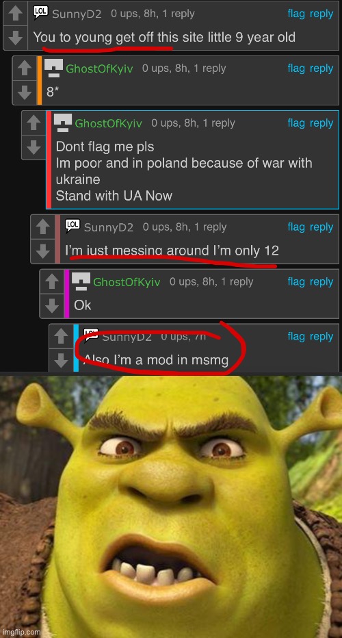 WHY ARE WE ALLOWING UNDERAGE USERS TO BE MODS (SunnyD2) | image tagged in shrek autism | made w/ Imgflip meme maker