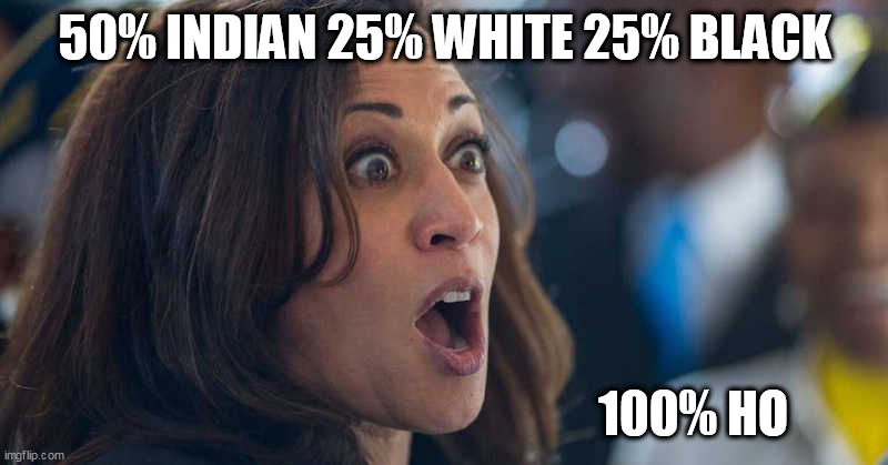 Kamela how dare you | 50% INDIAN 25% WHITE 25% BLACK; 100% HO | image tagged in kamela how dare you | made w/ Imgflip meme maker