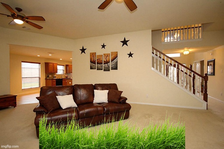 Living room ceiling fans | image tagged in living room ceiling fans | made w/ Imgflip meme maker