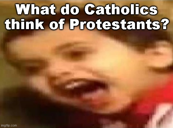 As an ex-protestant, nobody loves protestants more than me. But I probably disagree with protestants as much as catholics do. | What do Catholics think of Protestants? | image tagged in screaming kid | made w/ Imgflip meme maker