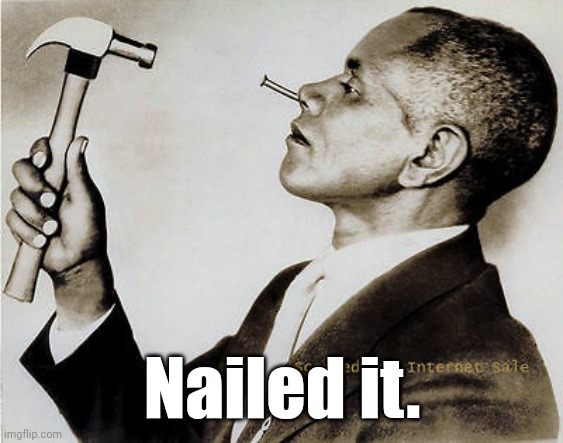 Nail in the face | Nailed it. | image tagged in nail in the face | made w/ Imgflip meme maker