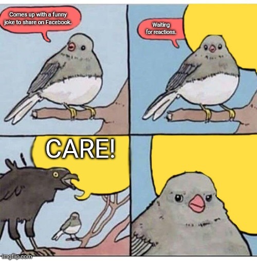 Care! | Comes up with a funny joke to share on Facebook. Waiting for reactions. CARE! | image tagged in annoyed bird,memes | made w/ Imgflip meme maker
