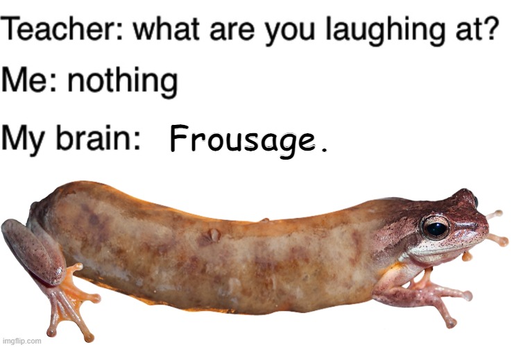 Frousage. | image tagged in teacher what are you laughing at | made w/ Imgflip meme maker