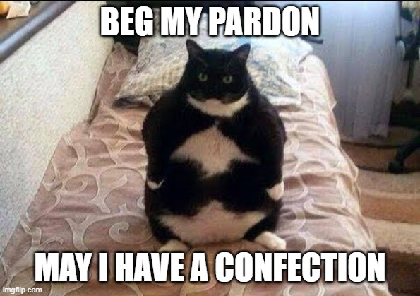 Chonki Babbie Hungy | BEG MY PARDON MAY I HAVE A CONFECTION | image tagged in chonki babbie hungy | made w/ Imgflip meme maker