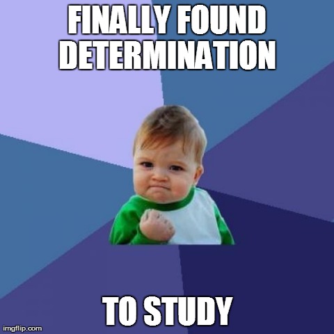 Success Kid Meme | FINALLY FOUND DETERMINATION  TO STUDY | image tagged in memes,success kid | made w/ Imgflip meme maker