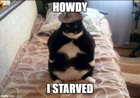 Chonki Babbie Hungy | HOWDY I STARVED | image tagged in chonki babbie hungy | made w/ Imgflip meme maker