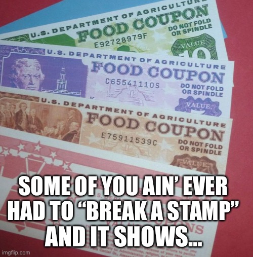 Break the stamps | SOME OF YOU AIN’ EVER  HAD TO “BREAK A STAMP”; AND IT SHOWS… | image tagged in 90's,90s kids,food stamps,struggle,the struggles,crack a stamp | made w/ Imgflip meme maker